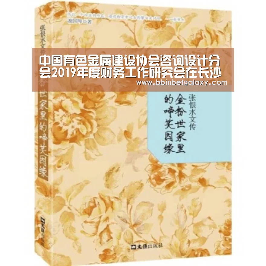 中国有色金属建设协会咨询设计分会2019年度财务工作研究会在长沙有色院召开|BBIN体育(图4) BBIN直播