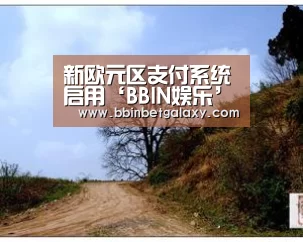 新欧元区支付系统启用‘BBIN娱乐’(图1) BBIN体育
