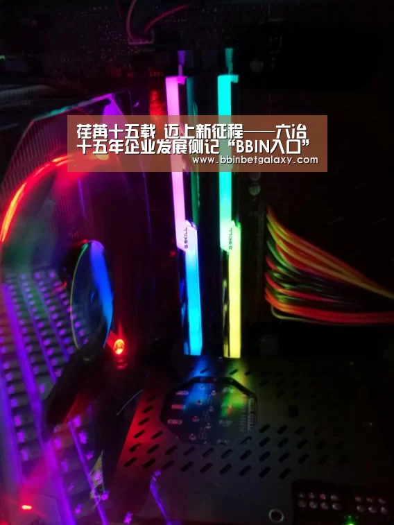 BBIN直播